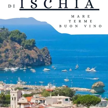 Flavio Casamicciola Terme