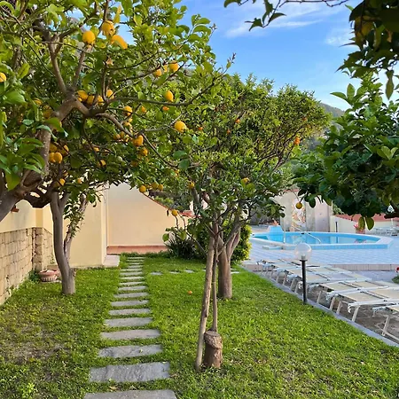 Hotel Flavio 3*