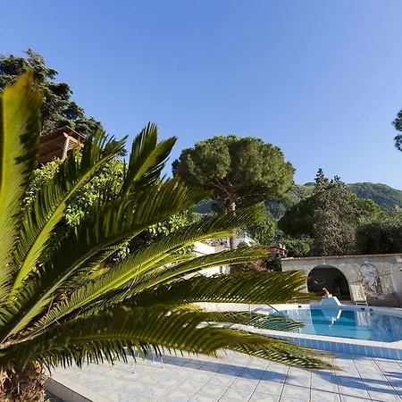 Flavio Hotel 3*